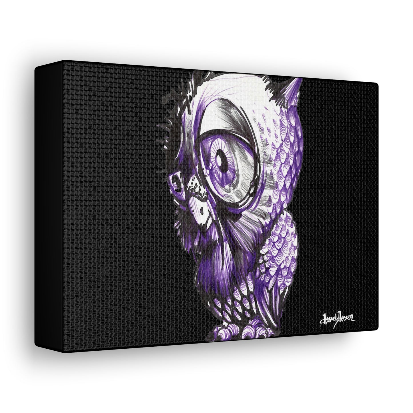 Liquid Ink Owl Canvas Gallery Wraps